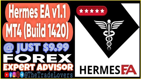 rating hermes